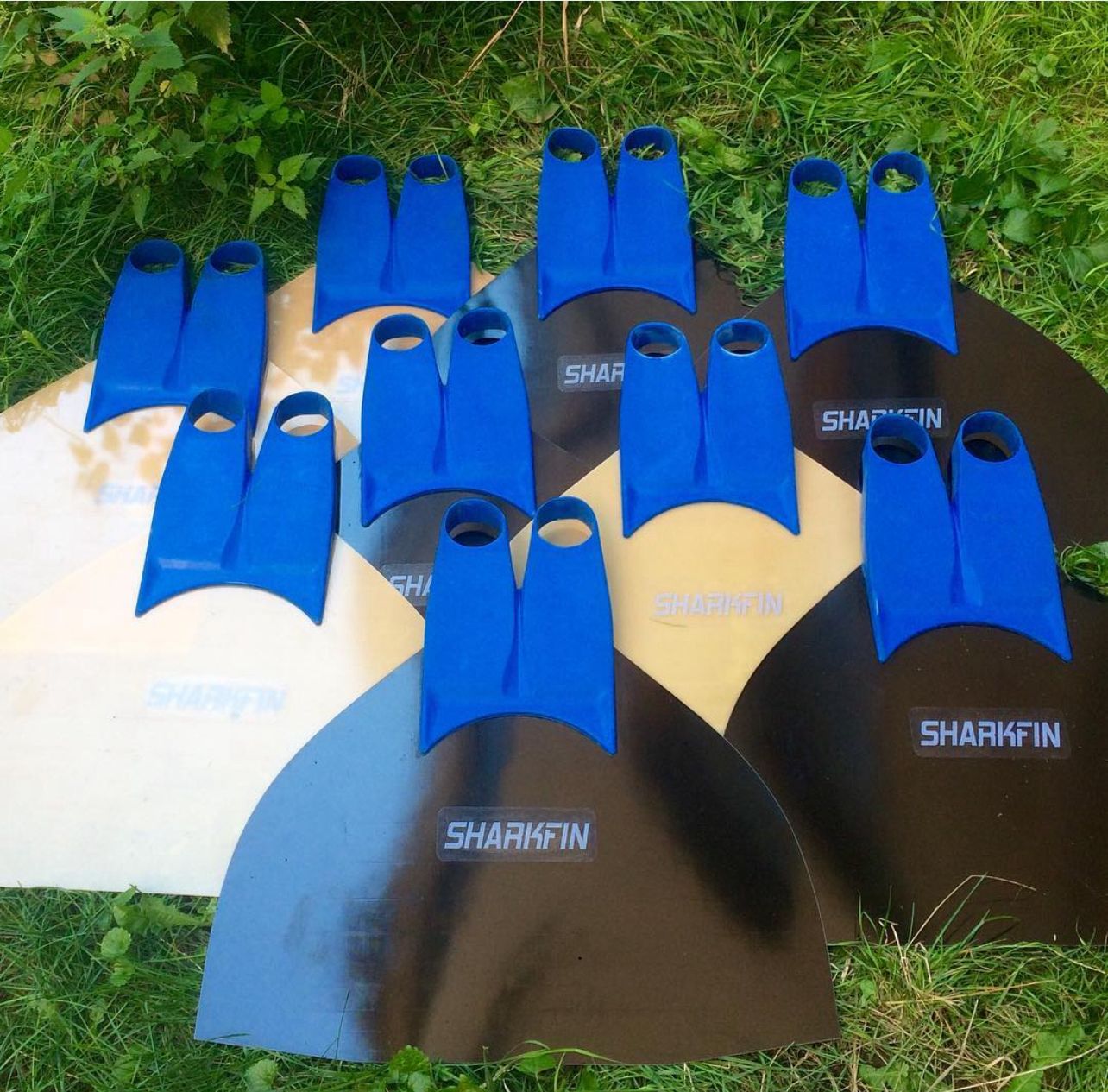Sharkfin