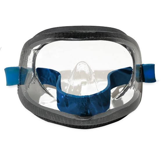 Mask Fins